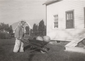 Manuel Godena Hauling pumpkins in his wheelbarrow in 1958